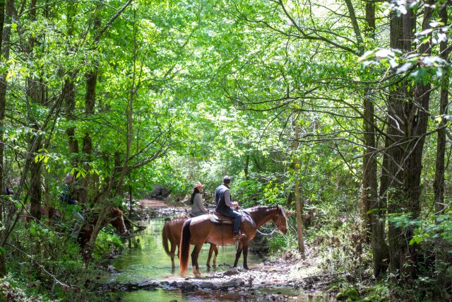 A couple riding horses at Barnsley Resort.