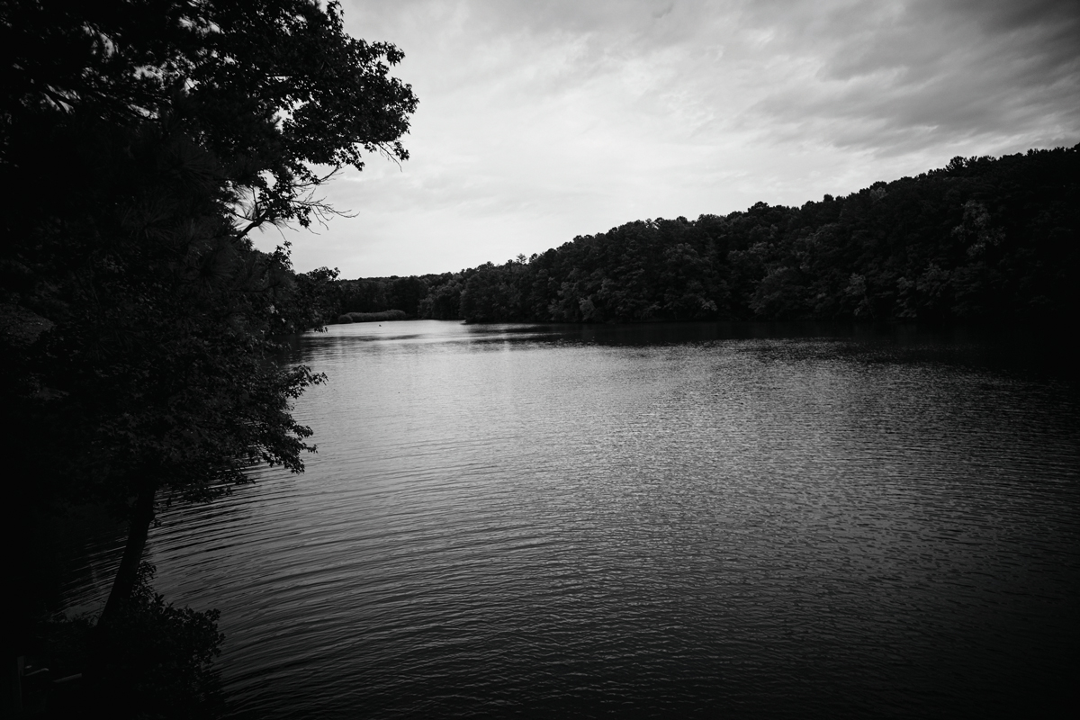 Sheila Pree Bright, Invisible Empire #1, 2019, is a lush black-and-white photograph showing a body of water.