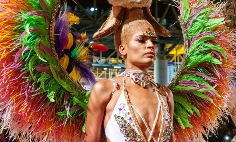 Inside the Bronner Brothers Hair Show and Fantasy Hair Competition