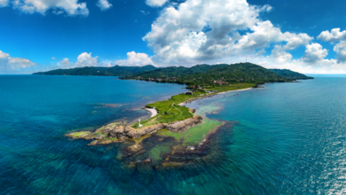 Turkish Black Sea Coast listed on CNN Travel’s “Best Places to Visit in 2024”