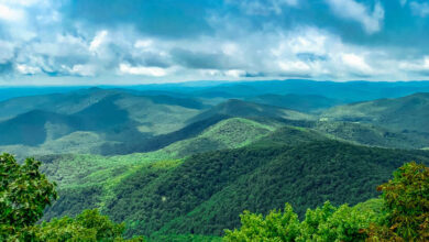 Best Things to Do in Blue Ridge on a Weekend Getaway in Georgia