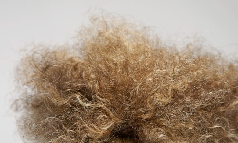 Frizzy Hair Is Impossible to Totally Fix