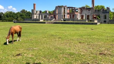 These Weekend Family Getaways In Georgia Are Perfect