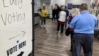 Nonprofits strain to support voters in Georgia Senate race