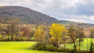 Plan the Ultimate North Georgia Road Trip