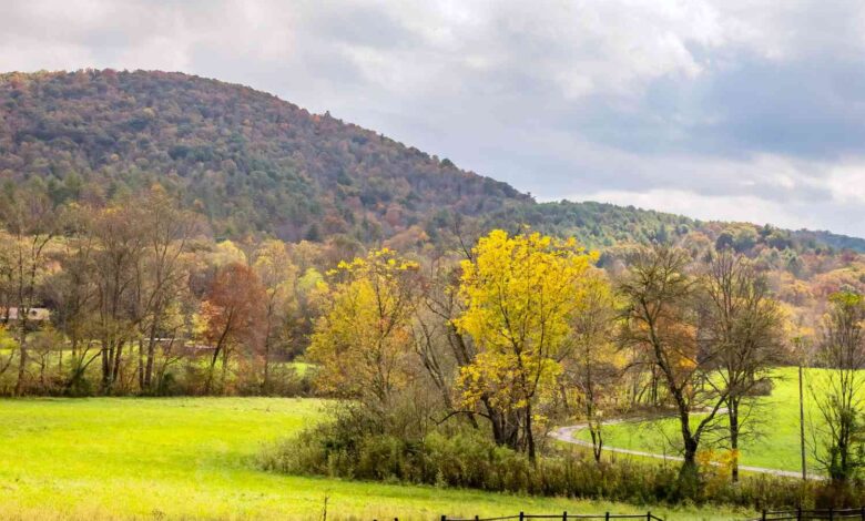 Plan the Ultimate North Georgia Road Trip