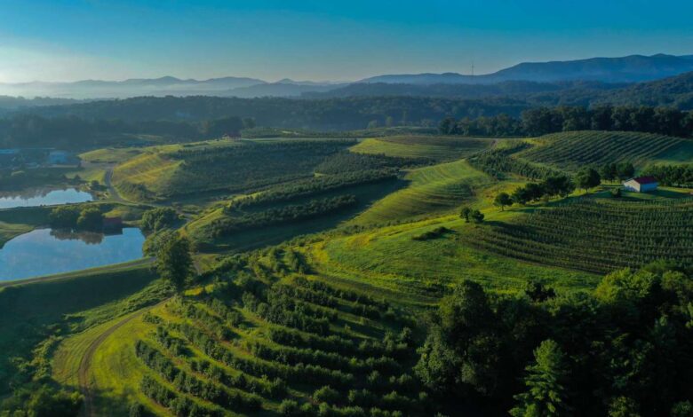 Mercier Orchards In Blue Ridge Is A North Georgia Wonderland