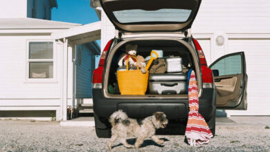 3 Georgia Destinations Among The Best Weekend Getaways In The South