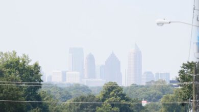 Atlanta, nonprofits getting millions for urban tree protection