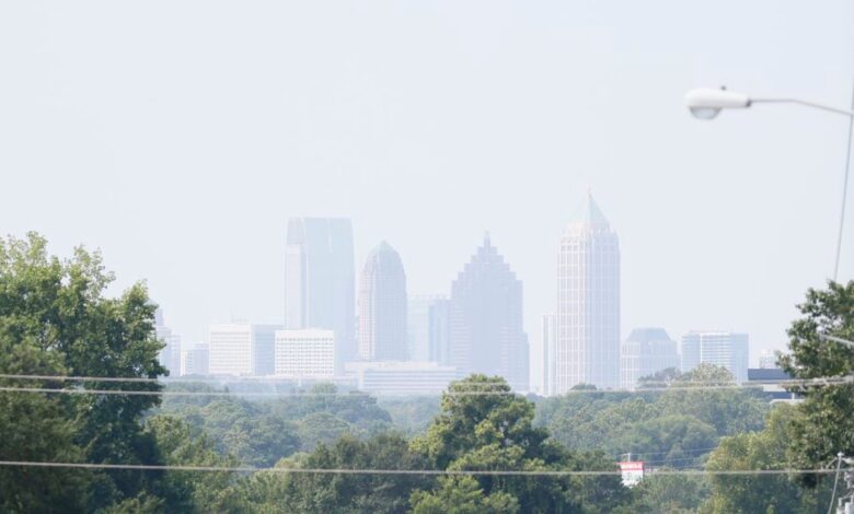 Atlanta, nonprofits getting millions for urban tree protection