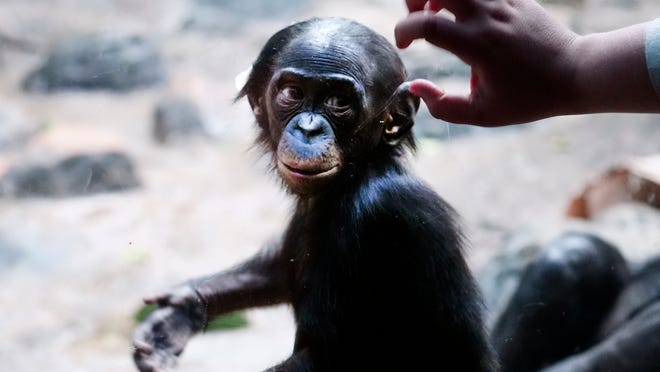 Cincinnati named No. 1 staycation city in Ohio, No. 9 in US