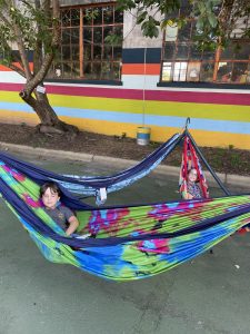 Winter Road Trips - Asheville Hammocks
