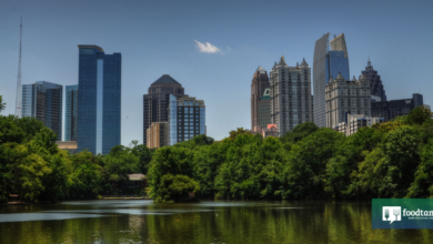 20 Organizations Cultivating the Food Movement in Atlanta – Food Tank