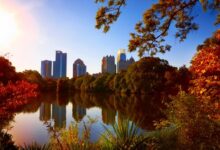 To Protect Trees, Atlanta Nonprofit Maps and Measures Benefits