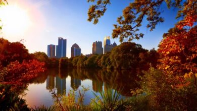 To Protect Trees, Atlanta Nonprofit Maps and Measures Benefits