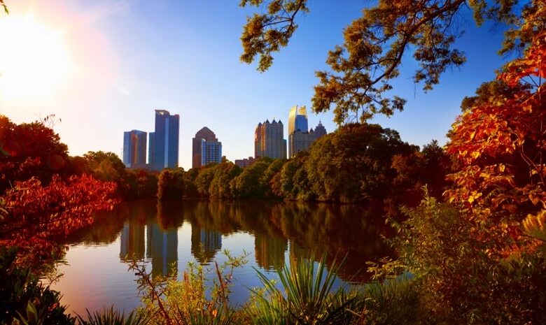 To Protect Trees, Atlanta Nonprofit Maps and Measures Benefits To Protect Trees, Atlanta Nonprofit Maps and Measures Benefits