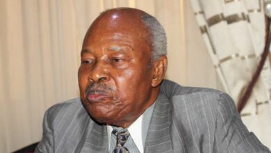 Augustine Esogbue: Pioneers always face challenges! and I’m a pioneer | The Guardian Nigeria News