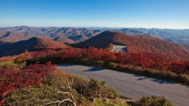 Why North Georgia is the perfect nearby girlfriends getaway