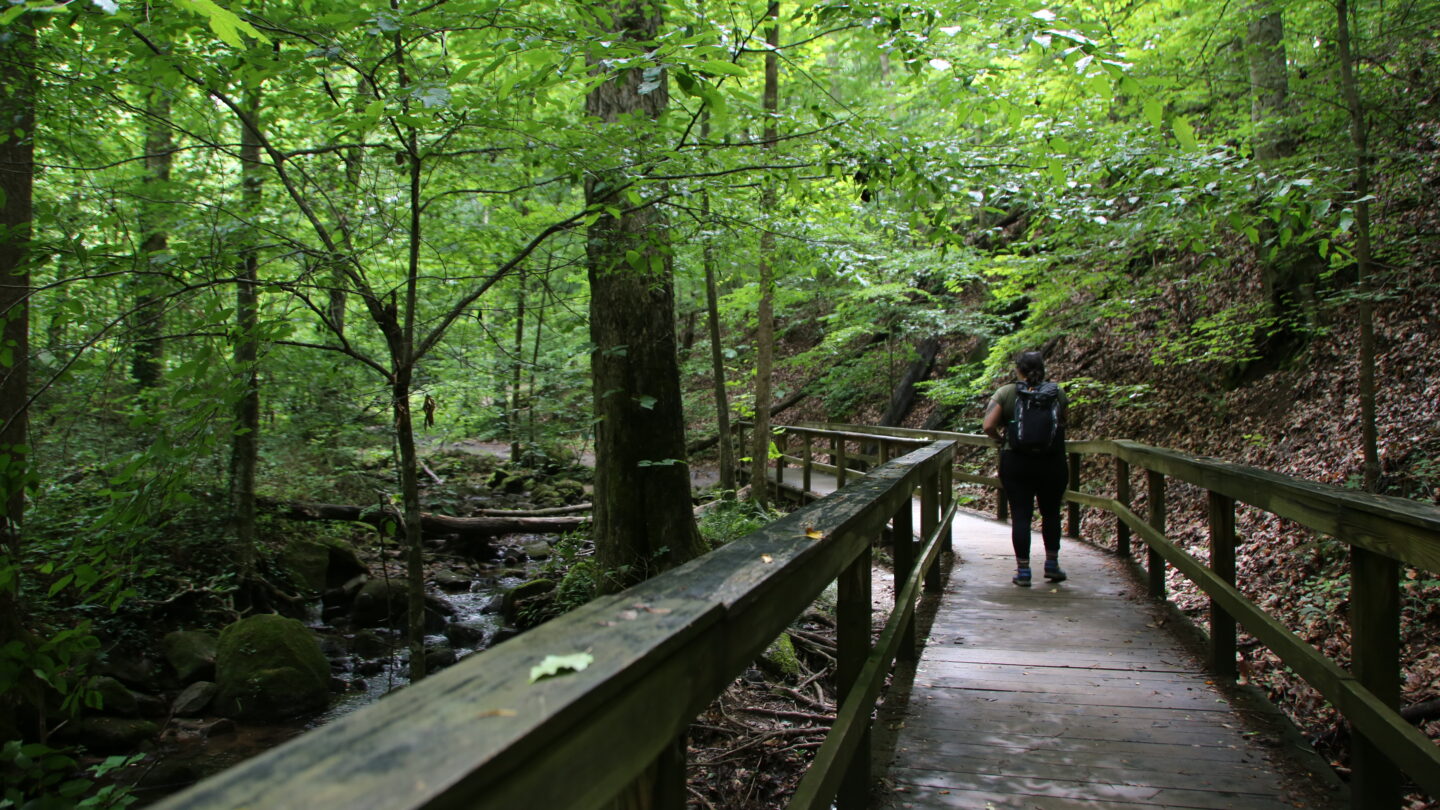 A person walks on a paved path in the forest.