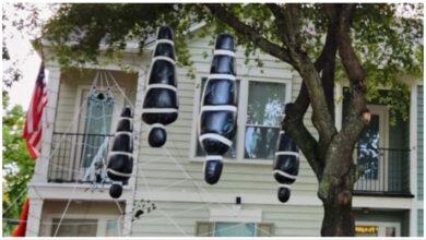 Activists Remove Bizarre, Racist Halloween Decorations Depicting Black Bodies Hanging from Trees In Black Neighborhood