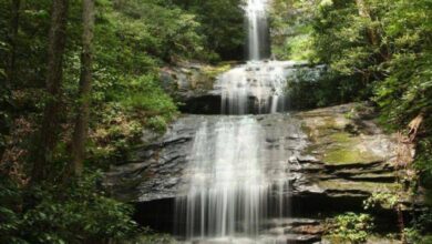 The 10 Best Waterfalls In Georgia
