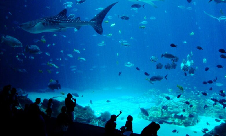 Study: Atlanta’s great for summer staycations, but it’s no Tampa