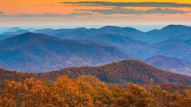 8 Best Things To Do In The Chattahoochee-Oconee National Forests