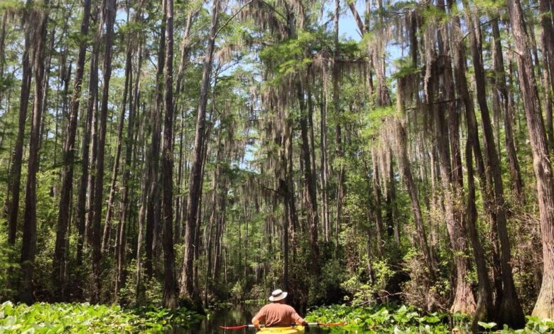 New project to explore history of Okefenokee’s Black conservationists