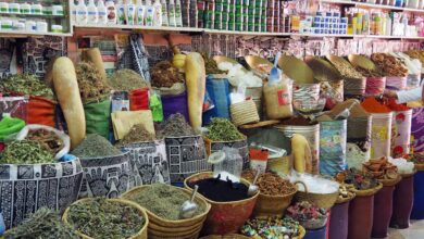 Healing herbs: Seven ancient plant remedies from the Arab world