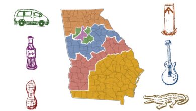 Georgia’s political geography: What to know before the Senate runoffs