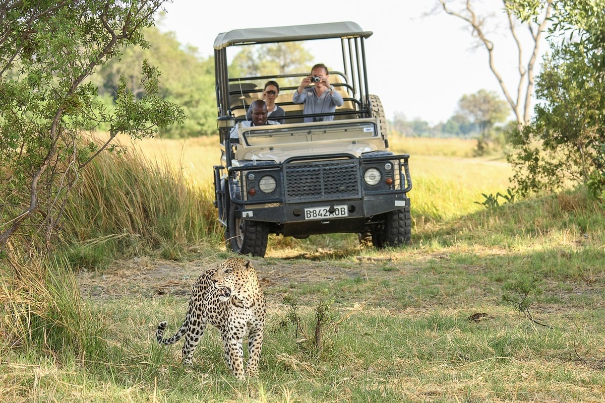 Okavango Delta Botswana