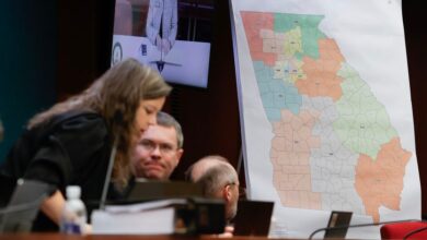 Federal judge restricts challenge of political maps to Black voters