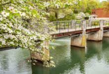 15 Best Weekend Getaways In Arkansas