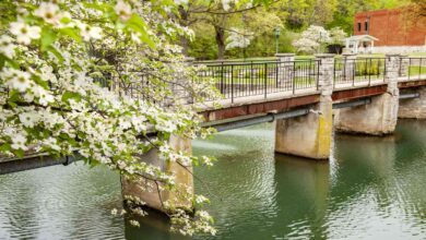 15 Best Weekend Getaways In Arkansas