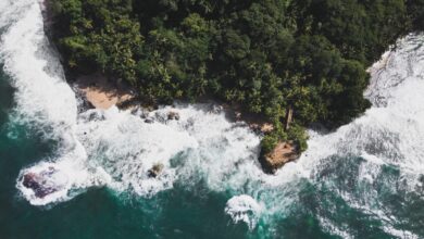 Top Surfing Destinations For Black Travelers To Visit