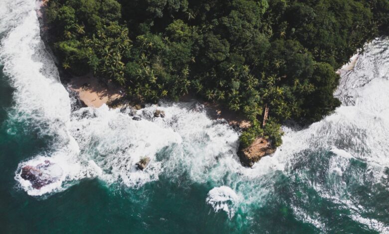 Top Surfing Destinations For Black Travelers To Visit