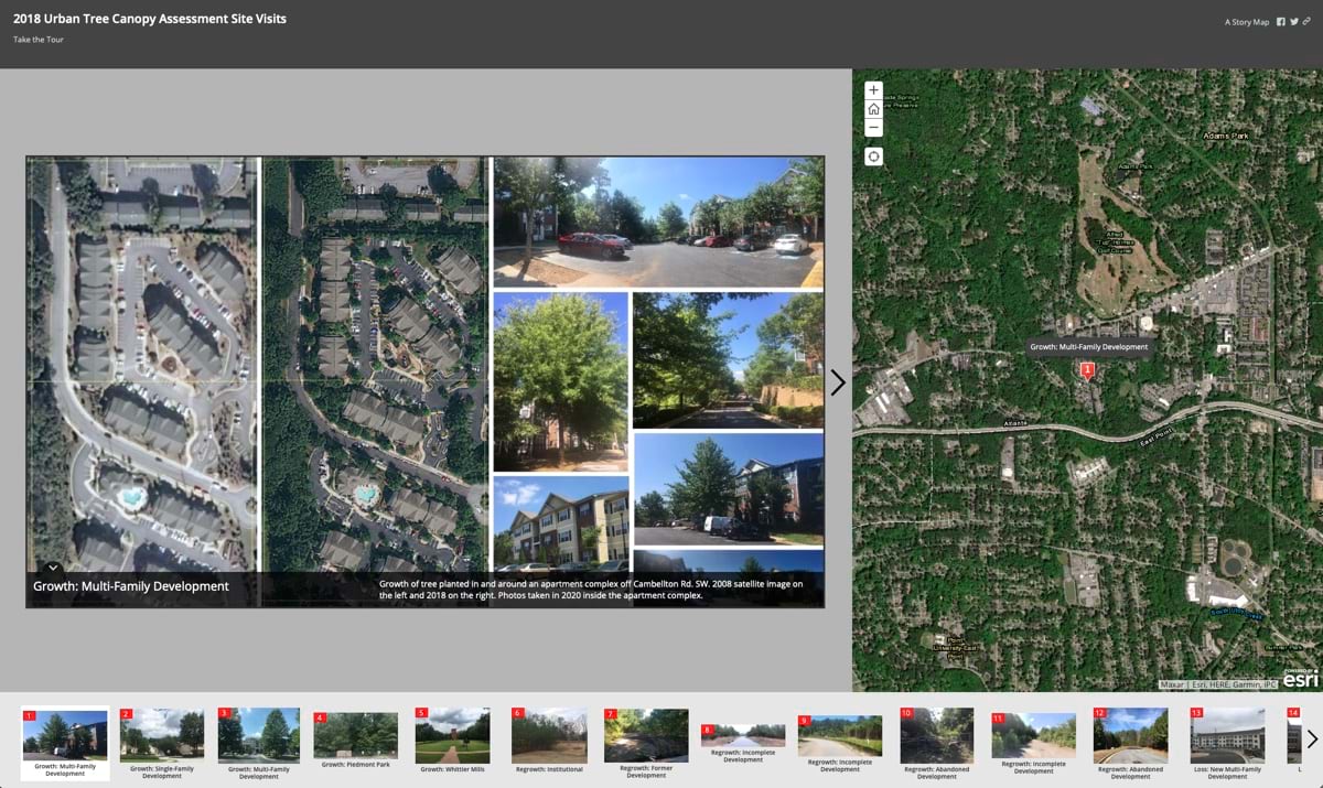 Tree Canopy Assessments