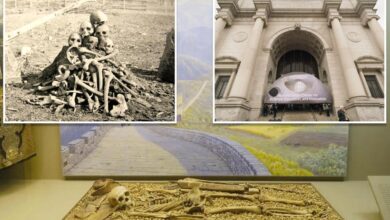 American Museum of Natural History to return 12,000 human remains