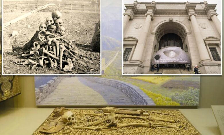 American Museum of Natural History to return 12,000 human remains
