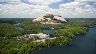 Hit the Road with the 10 Best Day Trips for Atlanta Families