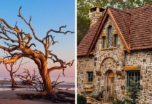 Enchanting Georgia Destinations To Explore That Feel Like A Real Life Fairy Tale