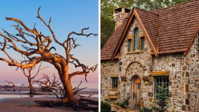 Enchanting Georgia Destinations To Explore That Feel Like A Real Life Fairy Tale