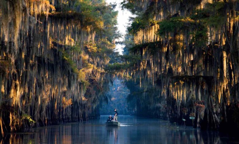 The 18 Best Lakes Across The South