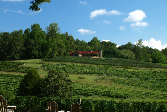 The Top 12 Vineyard Vacations in Georgia for a Unique Getaway