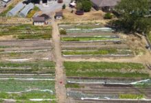 Regenerative Agriculture 101