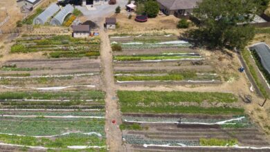 Regenerative Agriculture 101