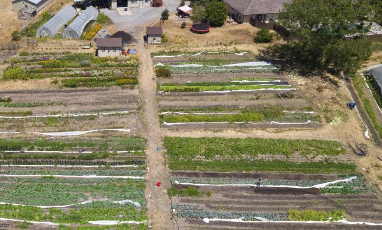 Regenerative Agriculture 101