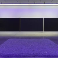 Paul Stephen Benjamin: Pure, Very, New curated by Lisa Freiman at Marianne Boesky Gallery on 24th Street (Video)