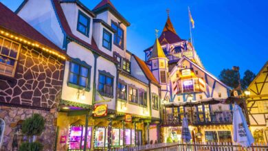 12 Small Towns In Georgia That Go All Out For Christmas
