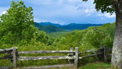 Why You Will Love Blue Ridge, Georgia